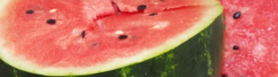 Citrullus Entretien, Plantation et Culture Conservation Nature