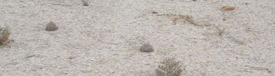 Coussin de belle-mère