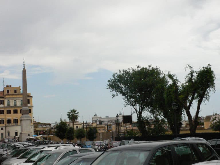 Trinia (Trinia)