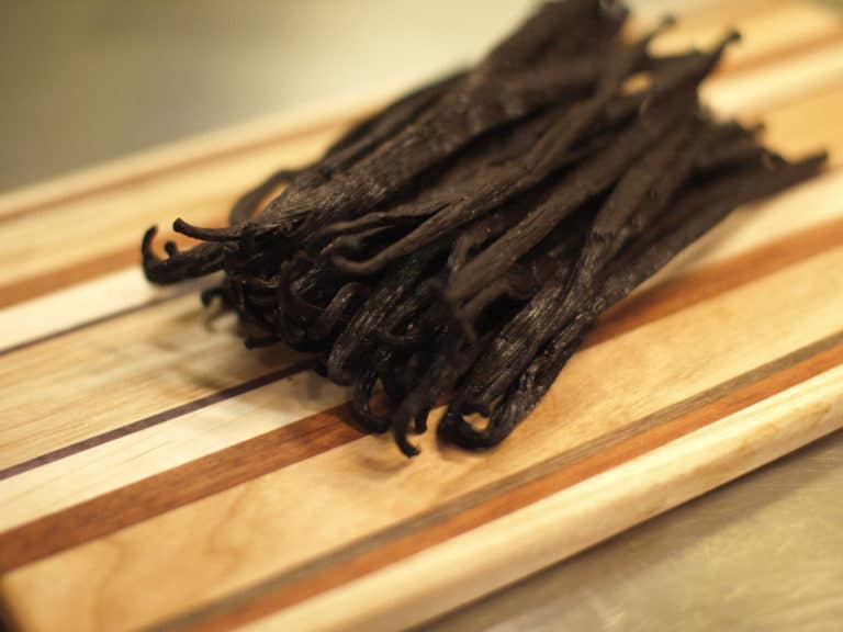 Vanilla (Vanilla)