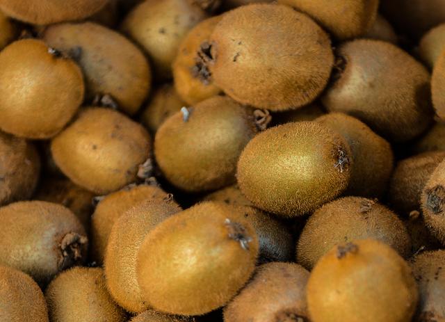 Kiwi (Actinidia deliciosa)