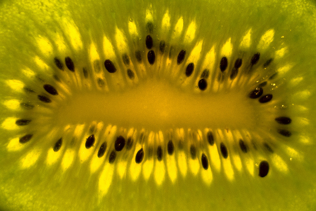 Kiwi
