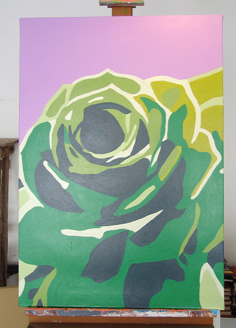 Aeonium balsamiferum