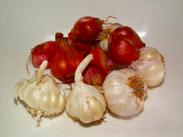 échalote