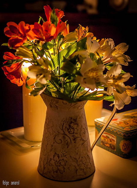 Alstroemeria pelegrina