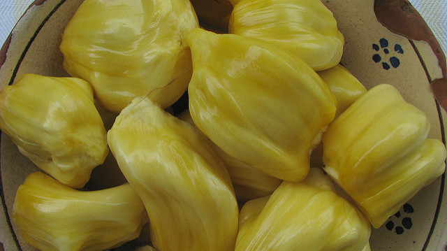 Pomme de jacque