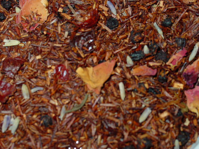 Rooibos (Aspalathus linearis)