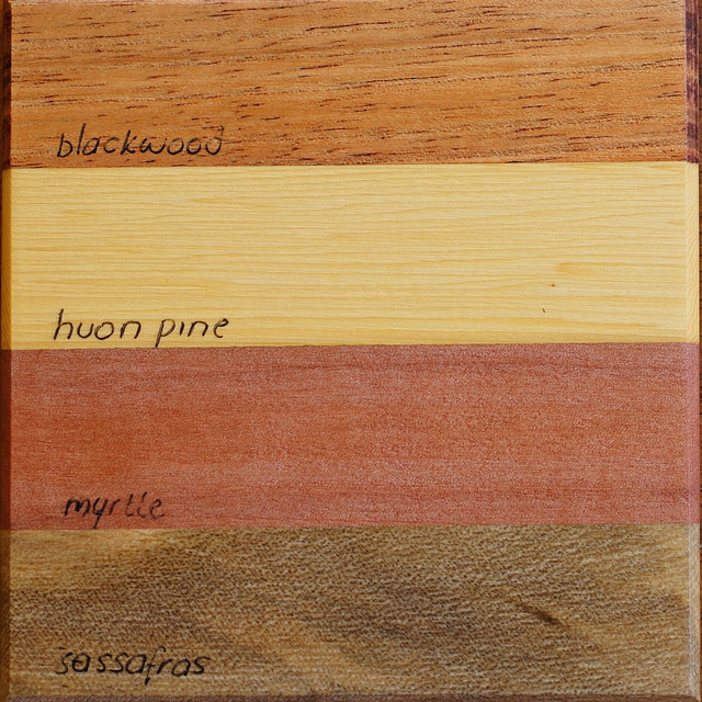 Atherosperma (Atherosperma moschatum)