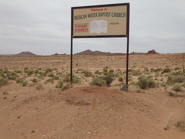 Atriplex confertifolia