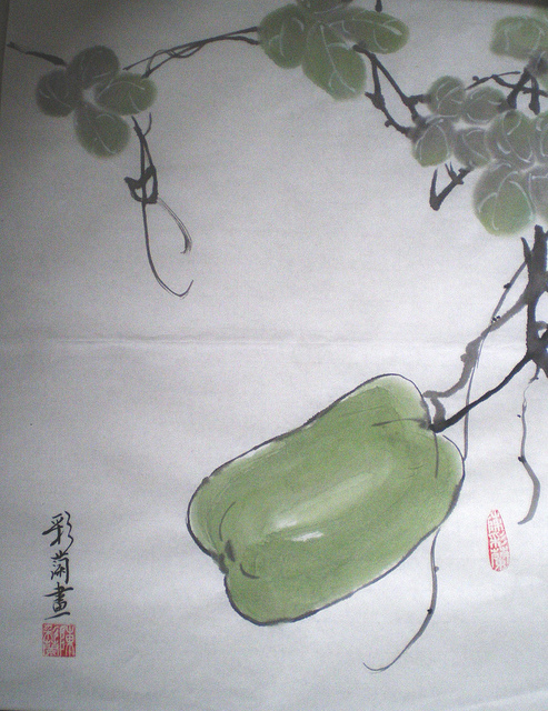 Courge cireuse