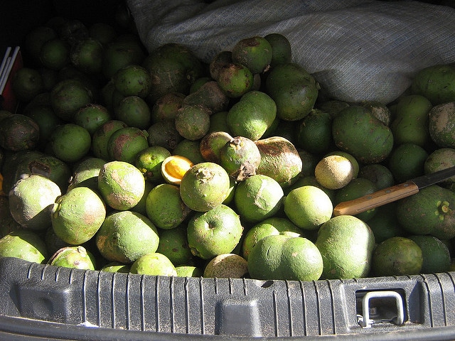 Péqui