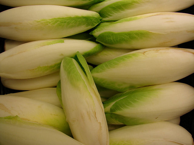 Chicorée endive