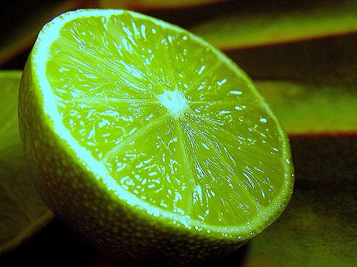 Citronnier doux (Citrus limetta)