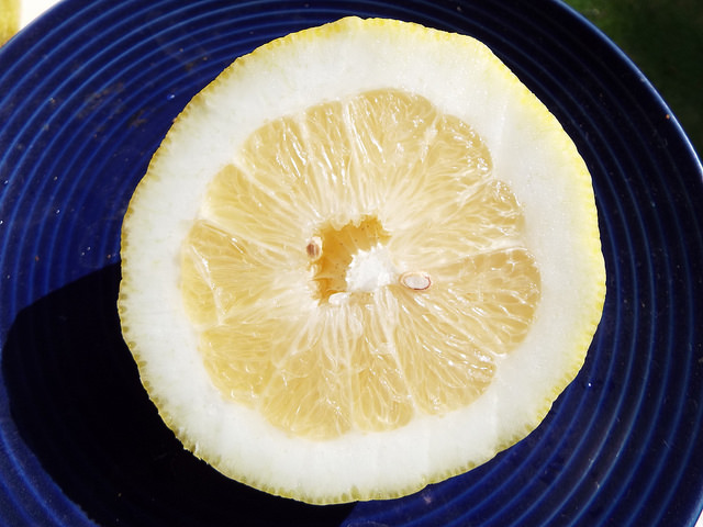 Citronnier
