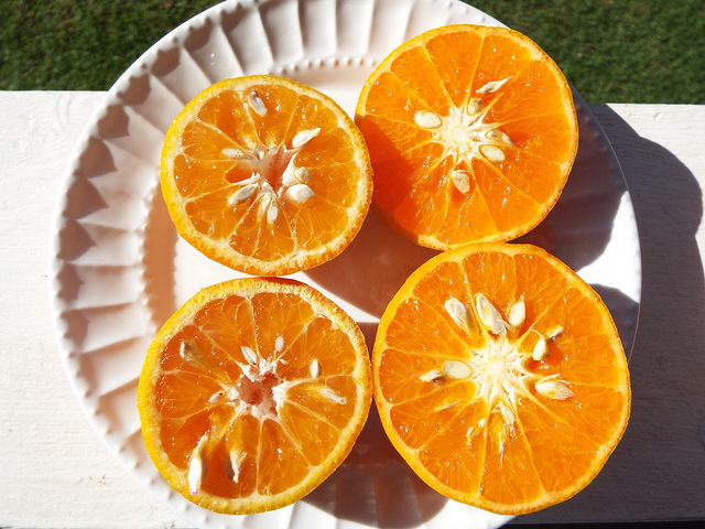 Mandarinier