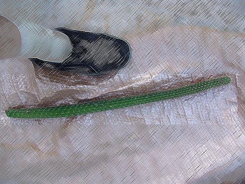 Akersia roseiflora