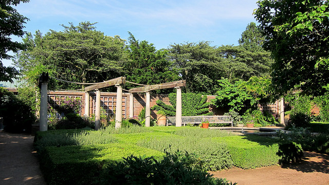 Crataegus canadensis
