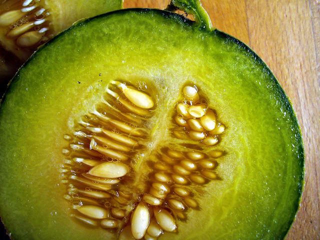 Melon