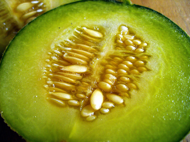 Melon