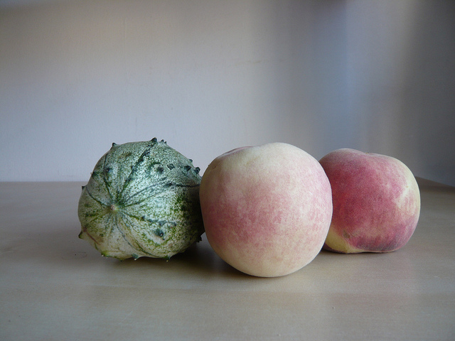 Cucumis metulifer (Cucumis metuliferus)