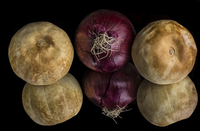 Cucurbita palmata
