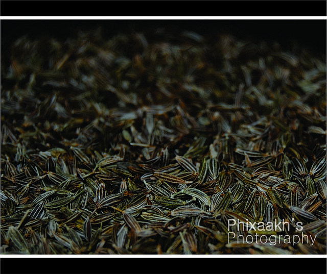 Cumin