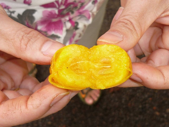 Pomme caffre