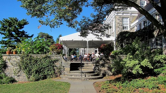 Eleutherococcus sieboldianus