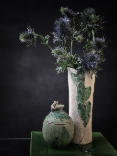 Eryngium leavenworthii
