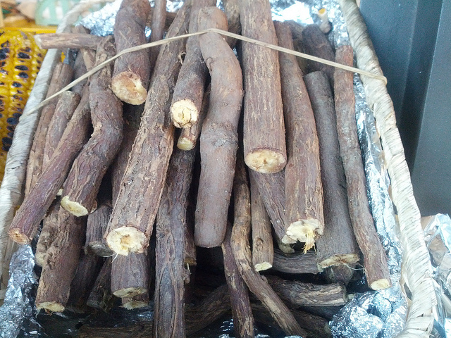 Réglisse (Glycyrrhiza glabra)