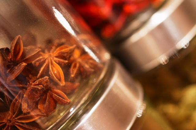 Badianier de chine (Illicium verum)