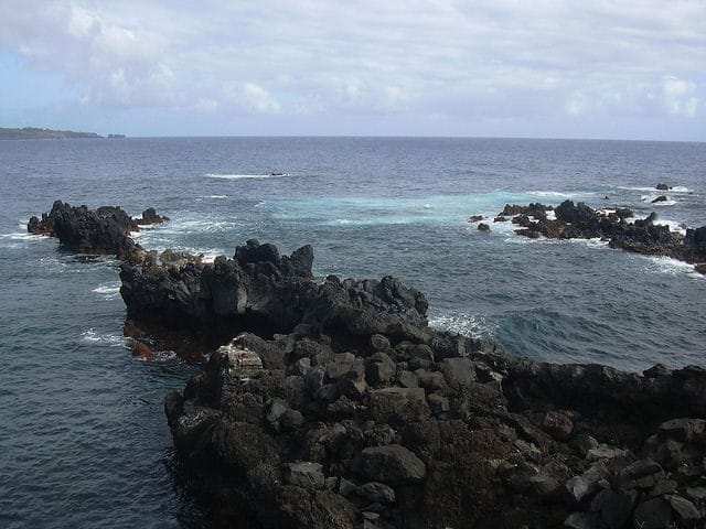Ischaemum byrone