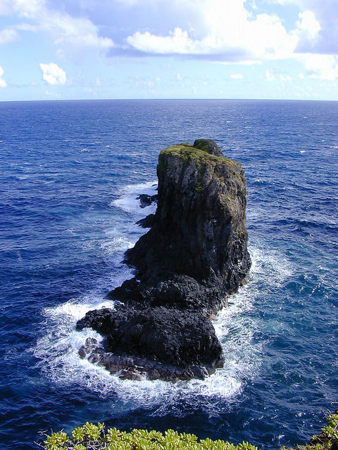 Ischaemum byrone