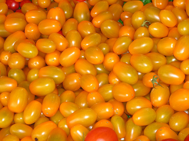 Tomate