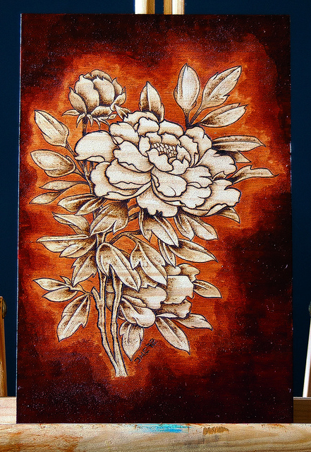 Pivoine officinale