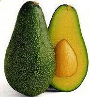 Avocatier
