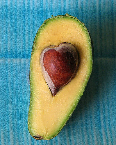 Avocatier