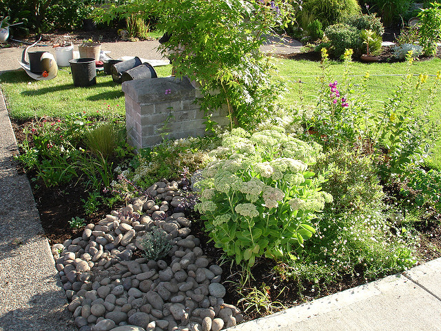 Potentille blanche (Potentilla alba)
