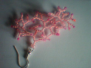 Rosier brillant (Rosa nitida)