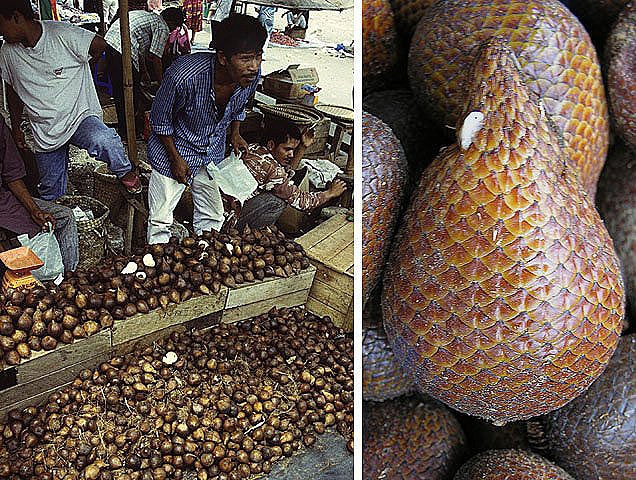 Salak