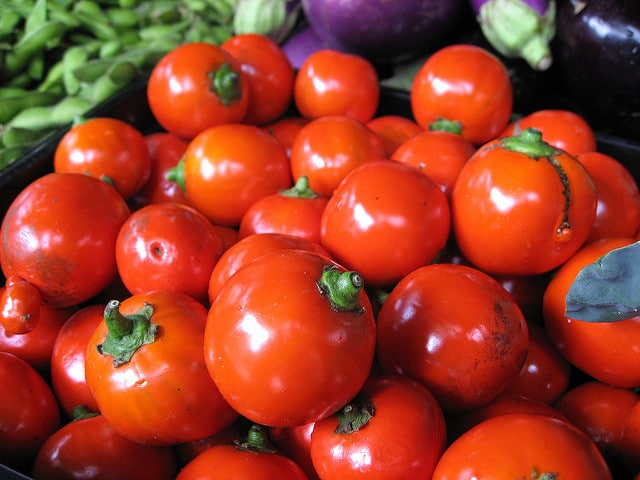 Solanum aethiopicum (Solanum aethiopicum)