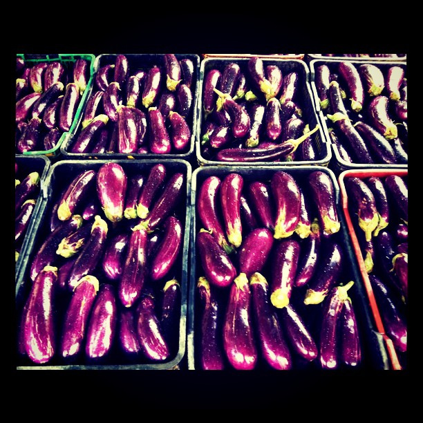 Aubergine