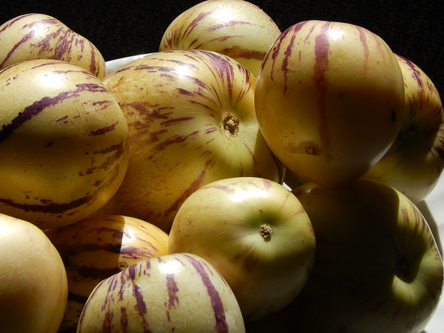 Pepino