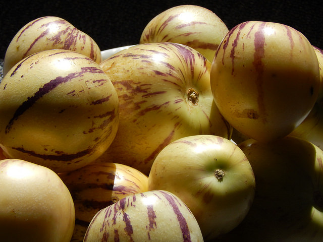 Pepino
