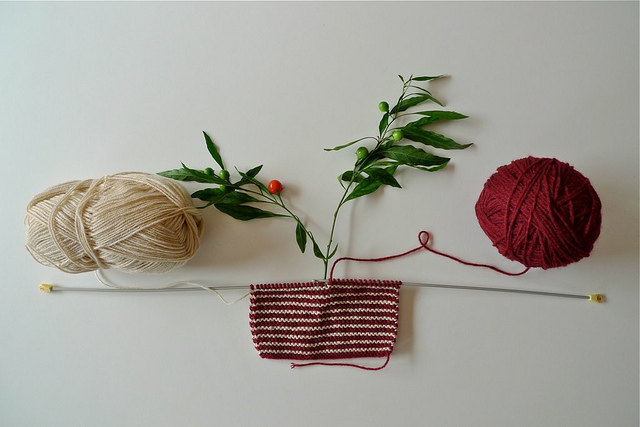 Solanum pseudocapsicum