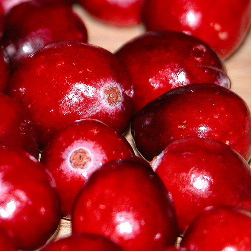 Canneberge à gros fruits