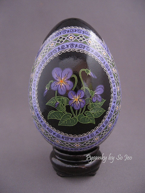 Viola sororia