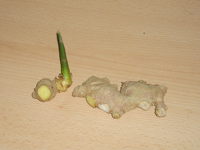 Gingembre