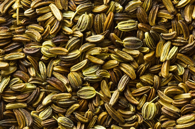 Zizia aurea