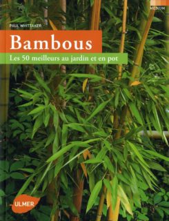 Bambous. Les 50 meilleurs au jardin et en pot